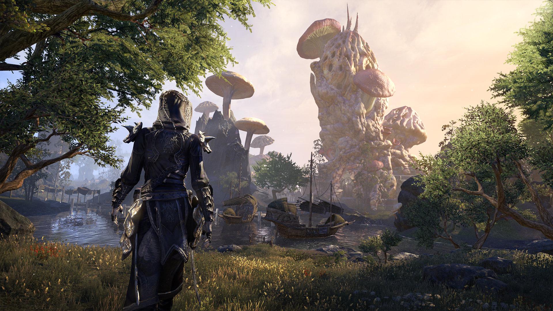 Пойдет ли the elder scrolls online на ноутбуке